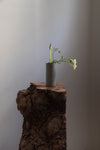 Cylinder Vases in Mist Blue