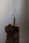 Cylinder Vases in Mist Blue