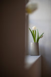 Vase in Pearl Grey & Cloud White by Borja Moronta