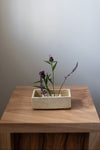 Pettit Vase Pique-Fleurs en Bassin