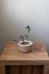 Vase Pique fleur couronne