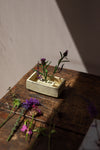 Pettit Vase Pique-Fleurs en Bassin