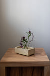 Pettit Vase Pique-Fleurs en Bassin
