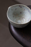 Wild Sand Flower Bowl & Pouring Jug Set I