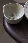 Wild Sand Flower Bowl & Pouring Jug Set V
