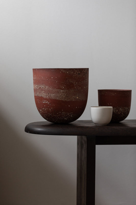 HoJung Kim Large Vessel