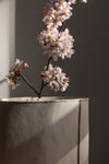 Oval Cylindrical Silver-Line Vase
