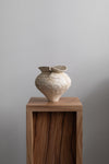 Vessel V