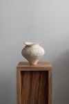 Vessel V