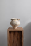 Vessel V