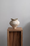 Vessel V