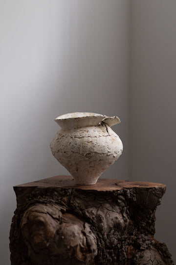 Vessel V