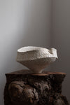 Vase / Vessel IV
