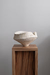 Vase / Vessel IV