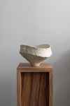 Vase / Vessel IV