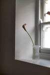 Fluted Vase III by Jochen Holz