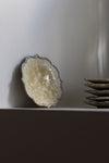 Rinka Plate S