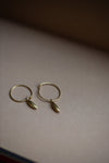 Rice Grain Ear Hoops in Gold by Kerry Seaton
