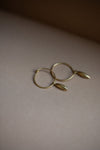 Rice Grain Ear Hoops in Gold by Kerry Seaton