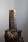 Twisted Oak Vessel