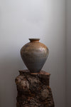 Ye Lai Xian