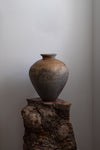 Ye Lai Xian