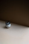 Constalaition Ring in Oxidised Silver with Black Diamonds