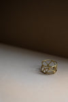 Constalaition Ring with Salt & Pepper Diamonds