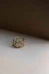 Constalaition Ring with Salt & Pepper Diamonds