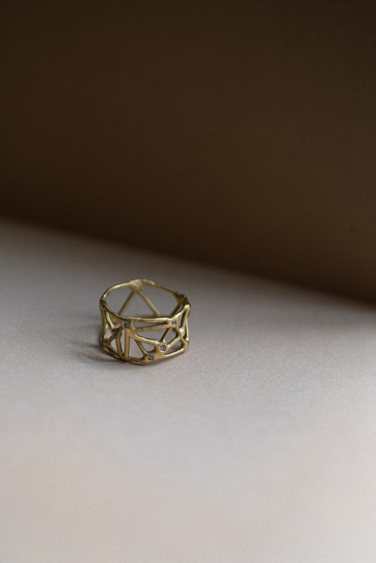Constalaition Ring with Salt & Pepper Diamonds