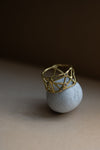 Constalaition Ring with Salt & Pepper Diamonds
