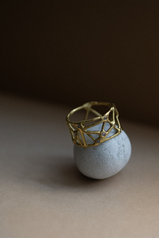 Constalaition Ring with Salt & Pepper Diamonds