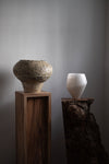 Porcelain & Inclusion Vessel