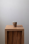 Lidded Pot