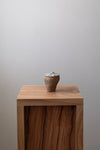 Lidded Pot