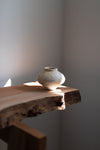 Low Pale Vase