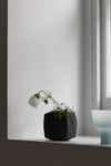 Black Cube Vase