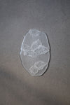 Xueyu Studio 浮游/Drift - large 07