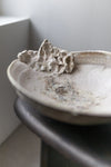 Abalone Bowl by Abigail Schama