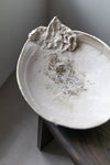 Abalone Bowl by Abigail Schama