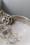 Abalone Bowl by Abigail Schama