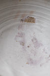 White Bowl by Abigail Schama
