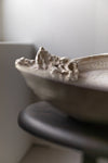 Abalone Bowl by Abigail Schama