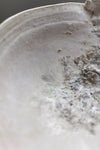 Abalone Bowl by Abigail Schama