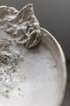 Abalone Bowl by Abigail Schama