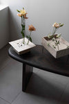 Pique-Fleurs Banquise' by Cécile Daladier
