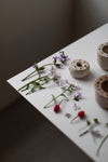 Pique-fleurs en couronnes', II,  by Cécile Daladier