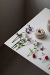 Pique-fleurs en couronnes', II,  by Cécile Daladier