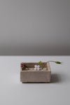 pique-fleurs en bassin rectangulaire',  by Cécile Daladier