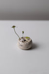 Pique-fleurs en couronnes', II,  by Cécile Daladier